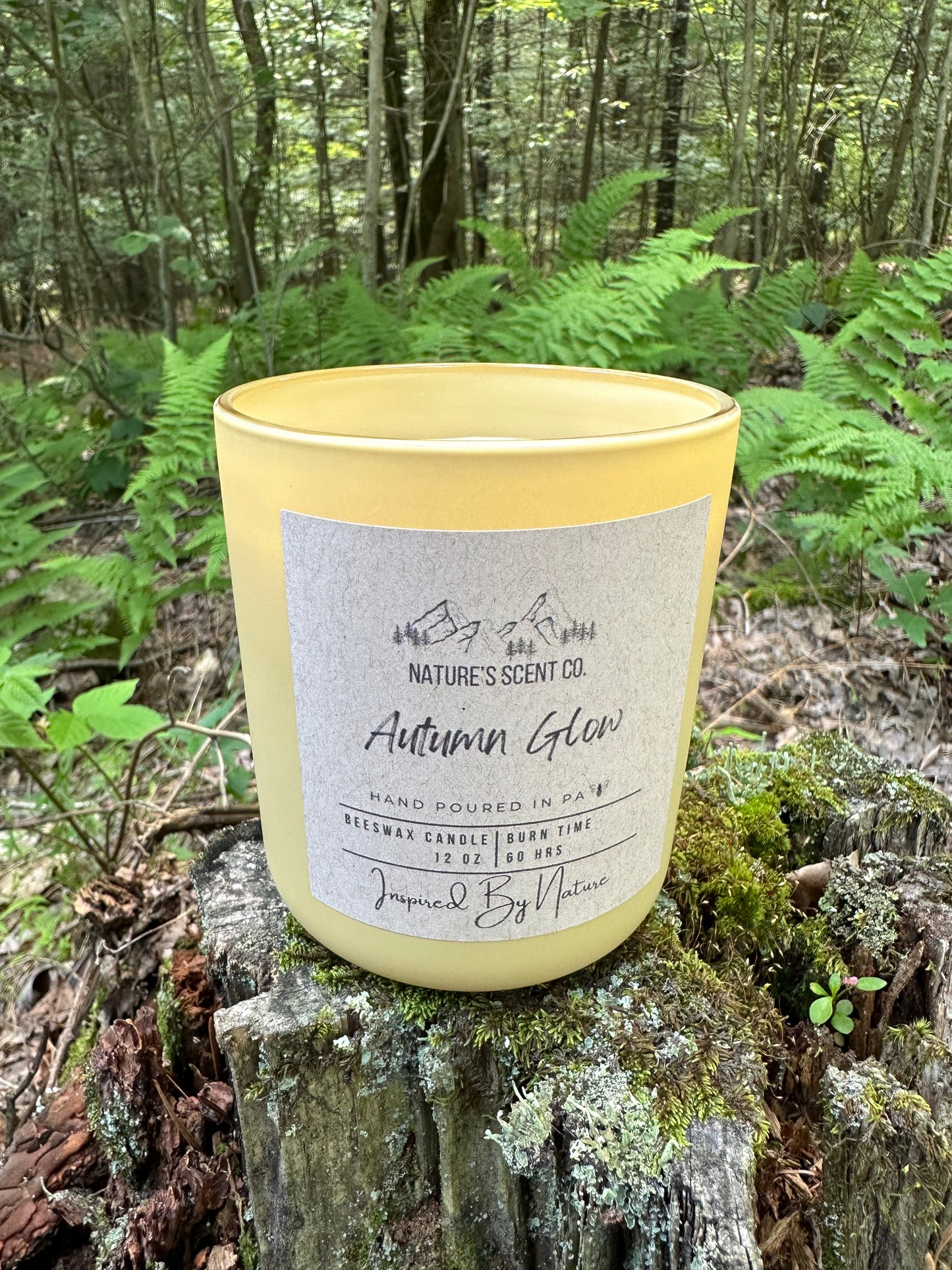 Autumn Glow Beeswax Candle