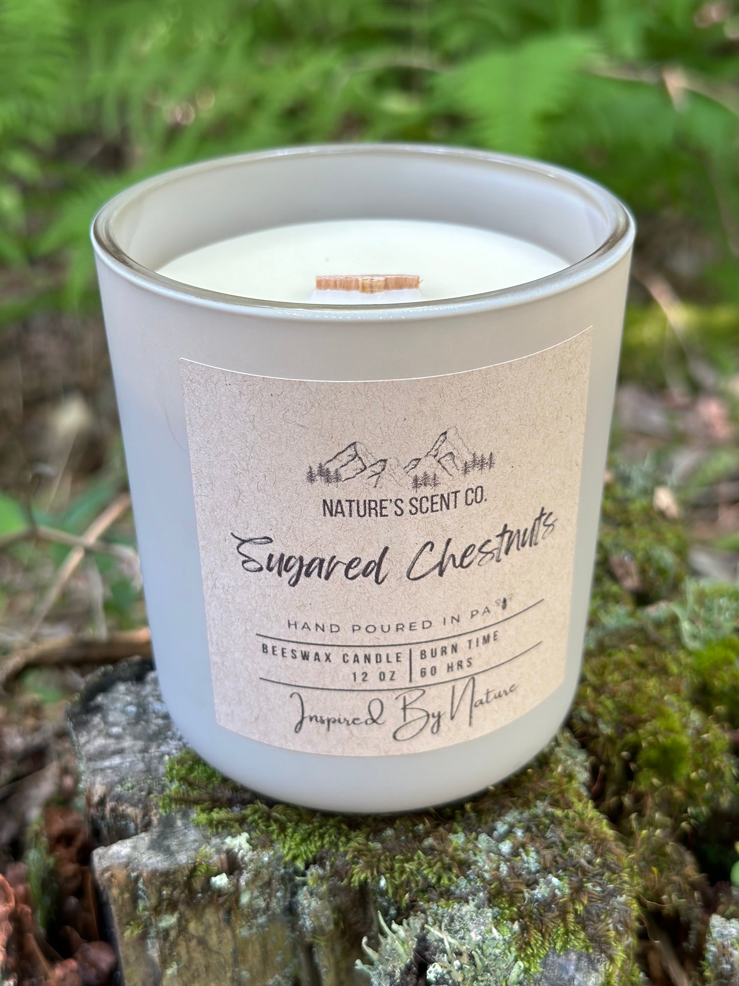 Sugared Chestnuts Beeswax Candle