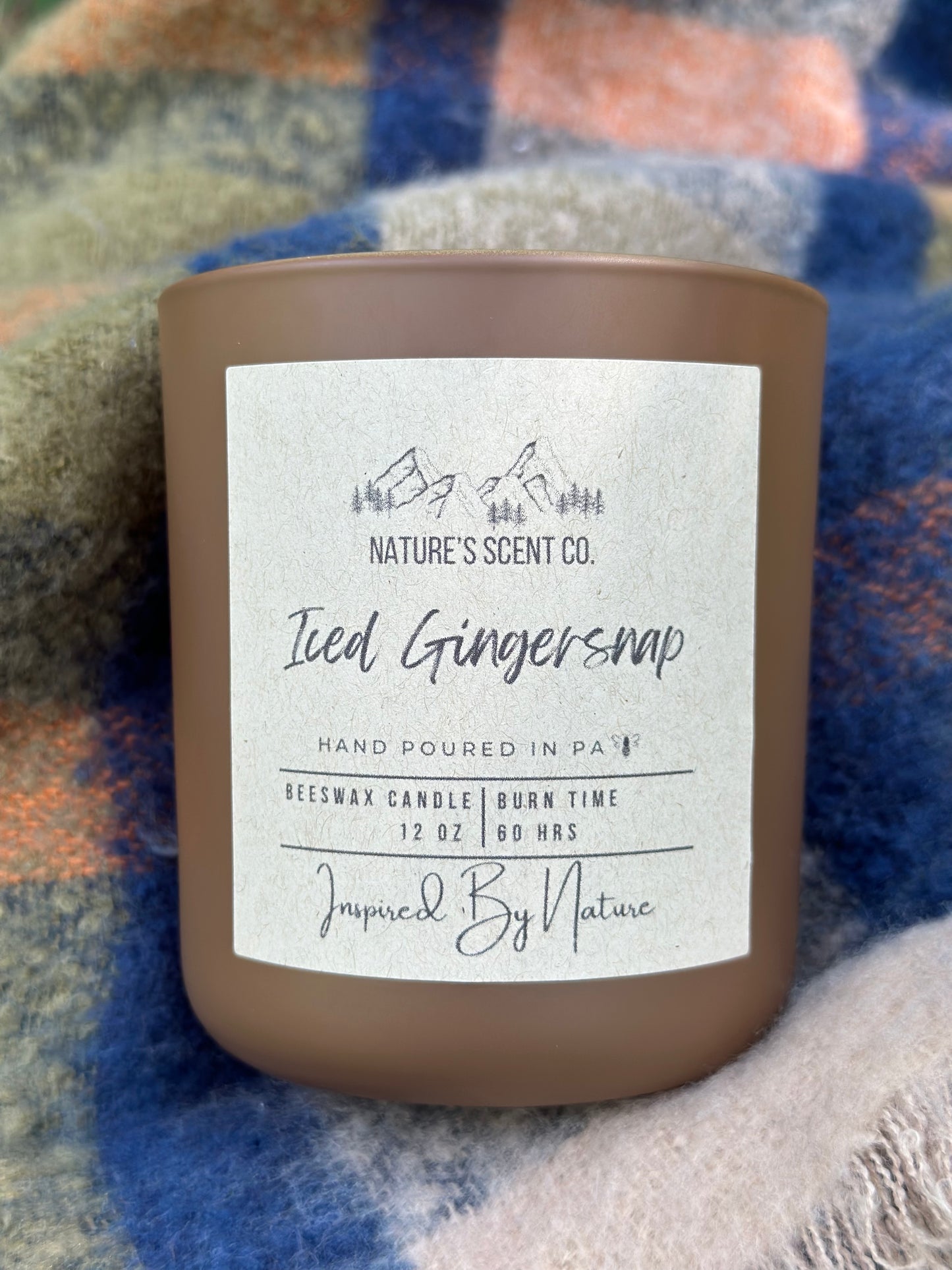 Iced Gingersnap Beeswax Candle