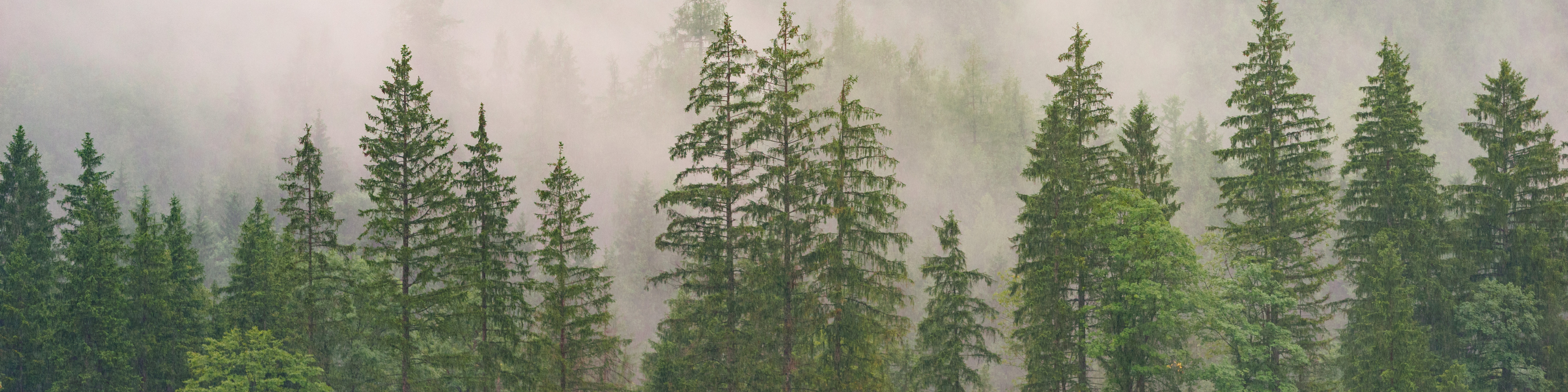 Beautiful fog covering the mountains