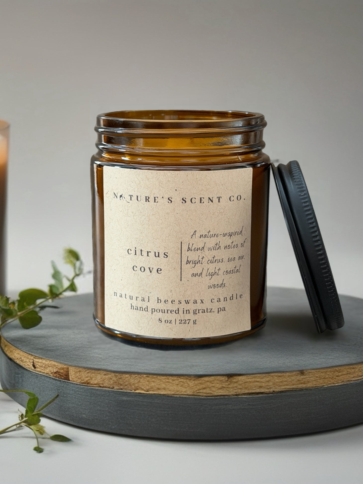 Citrus Cove Beeswax Candle