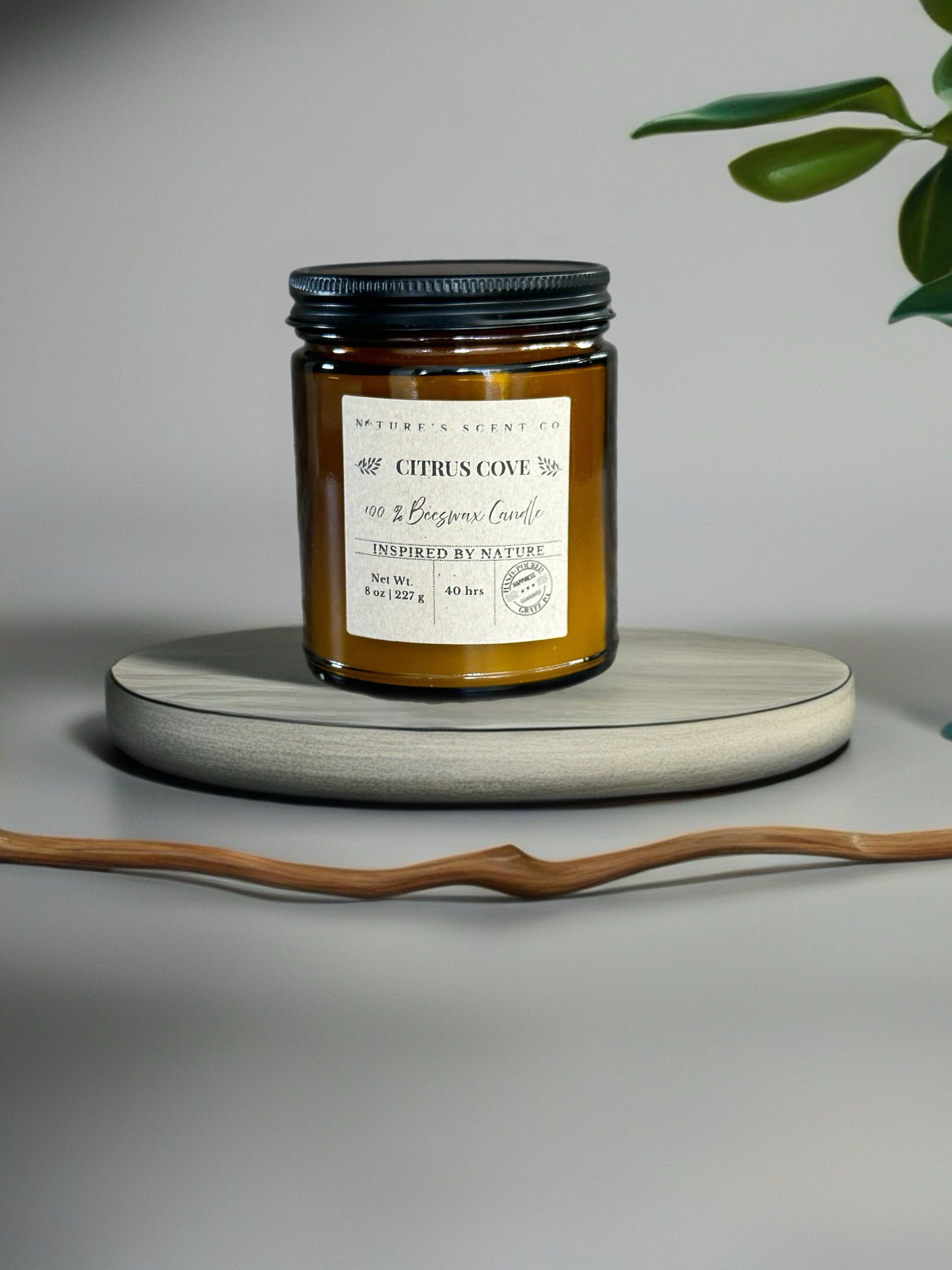 Citrus Cove Beeswax Candle
