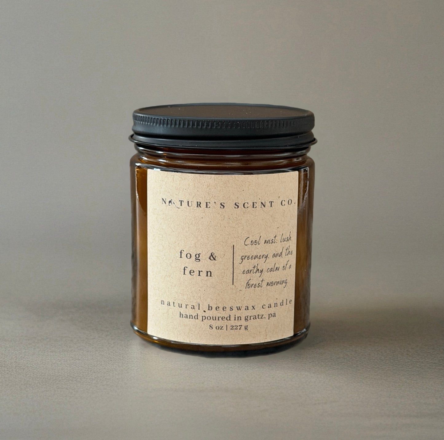 Fog & Fern