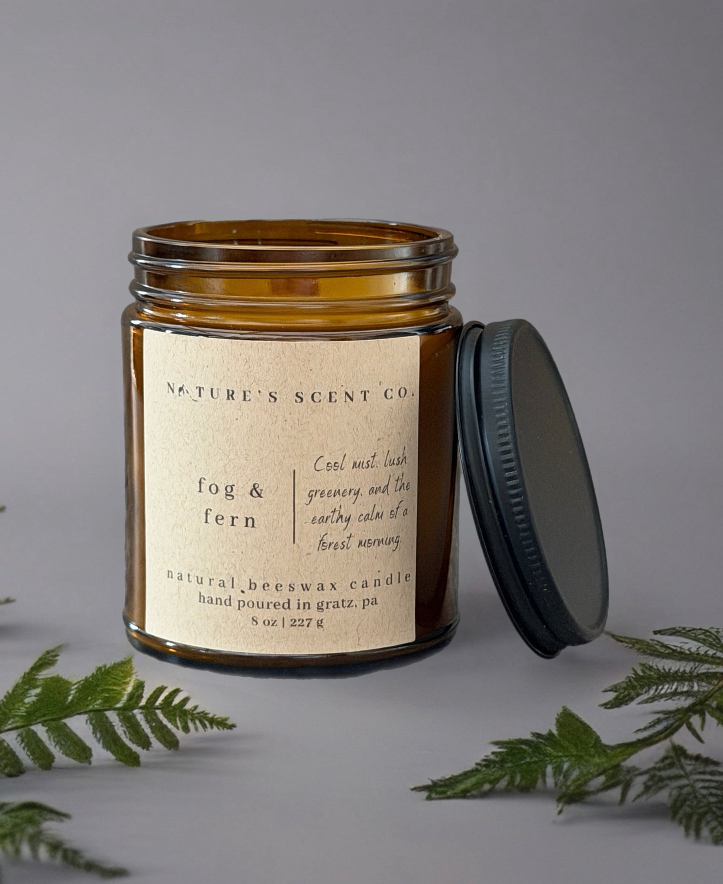Fog & Fern