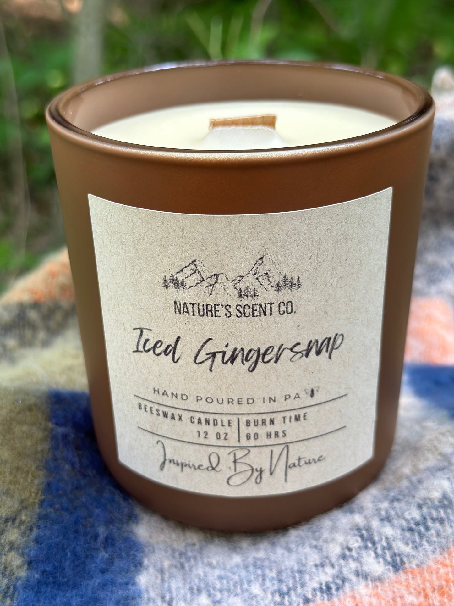 Iced Gingersnap Beeswax Candle