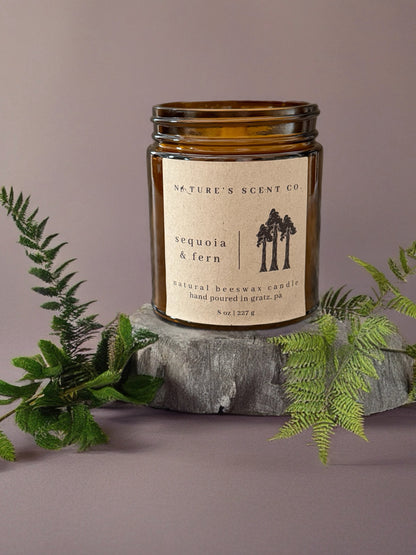 Sequoia & Fern Beeswax Candle
